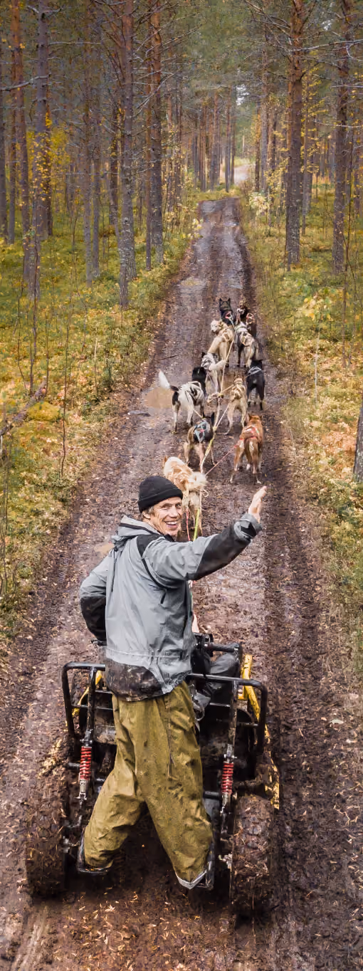 Man in outdoor gear driving a dog sled with huskies on a dirt path through a dense forest.