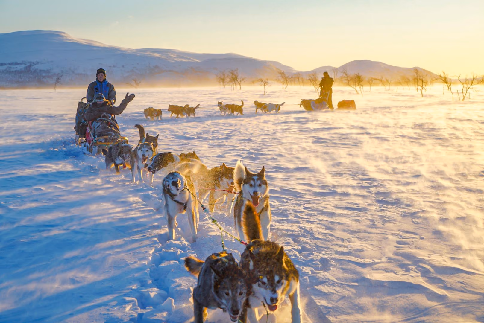 Arctic Dogsled Expedition | Dividalen | 1 Week