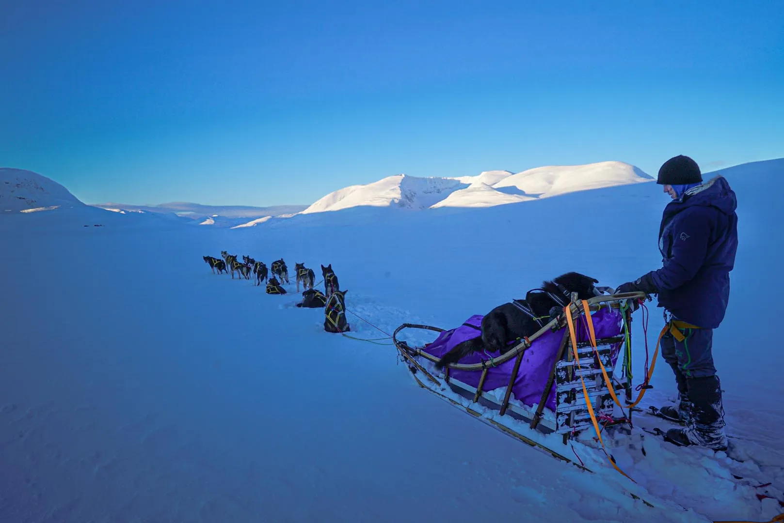 A person standing by a sled pulled by a team of huskies in snowy mountains under clear blue sky.