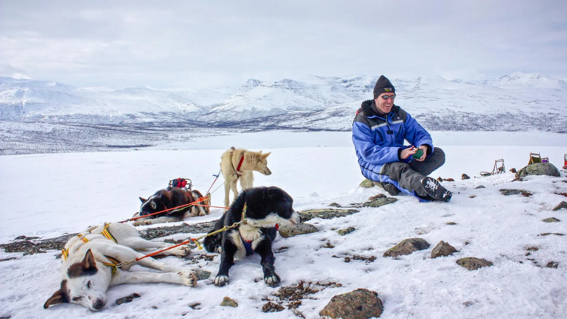 Person in blue jacket sitting on snow with resting sled dogs and snowy mountains in the background.