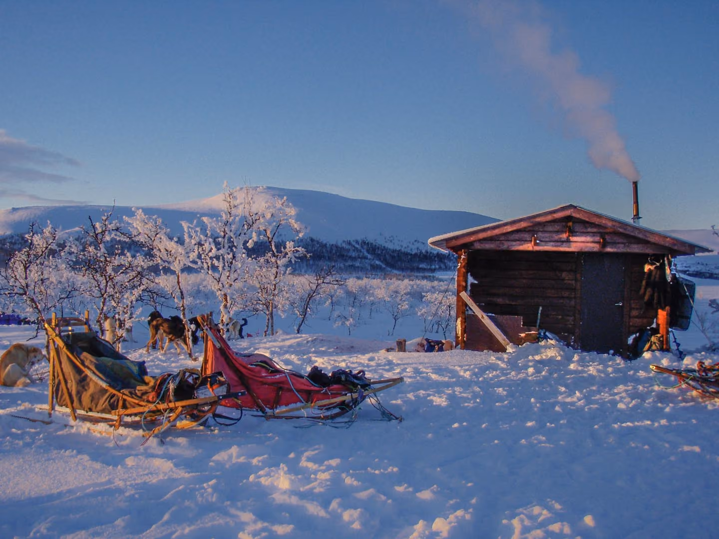 Snow-covered landscape with dogs, sleds, and a cabin with smoke from its chimney at sunset.