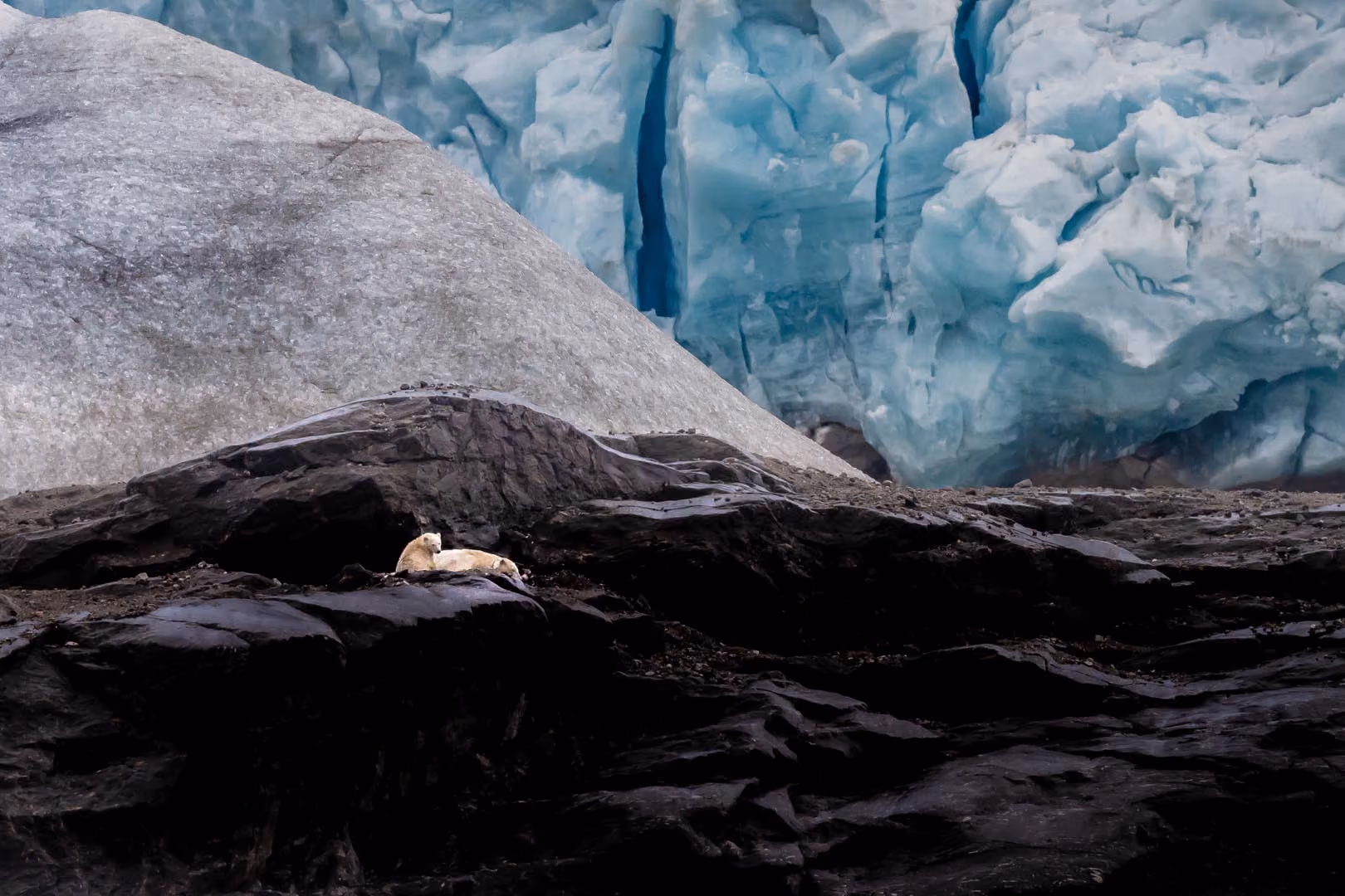Two polar bears resting on dark rocky terrain with a large blue glacier in the background.