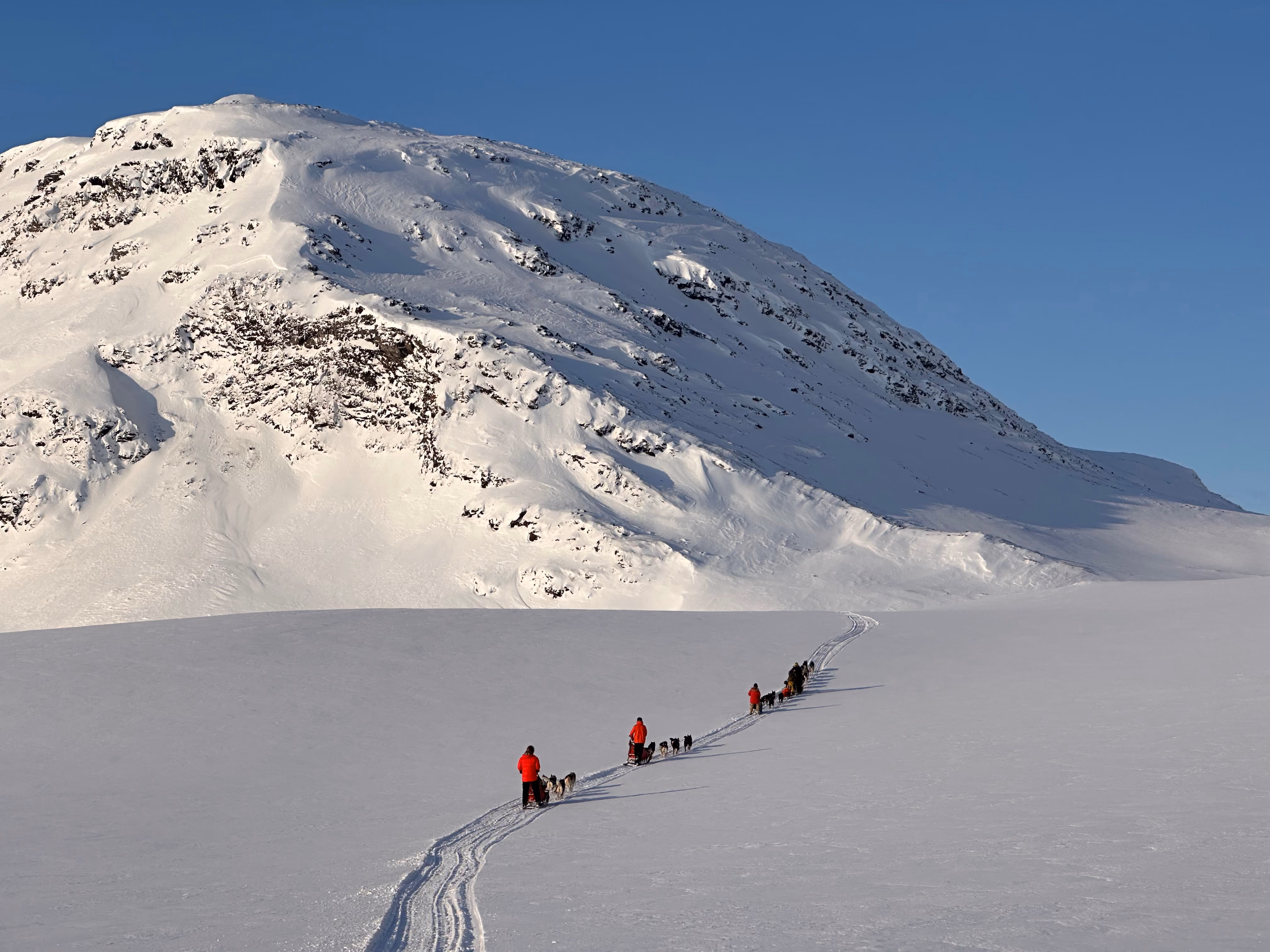 People in red jackets dog sledding across a snowfield with a snowy mountain under a clear blue sky.