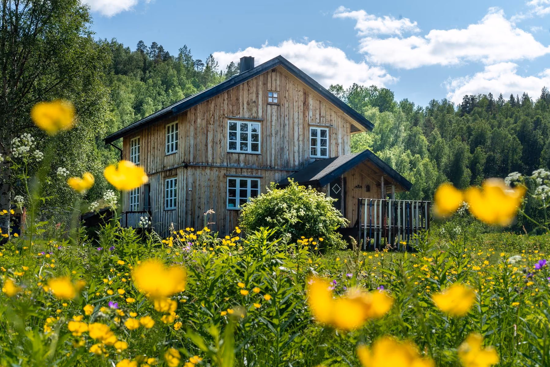Rustic wooden cabin nestled in a bright green field of yellow wildflowers.