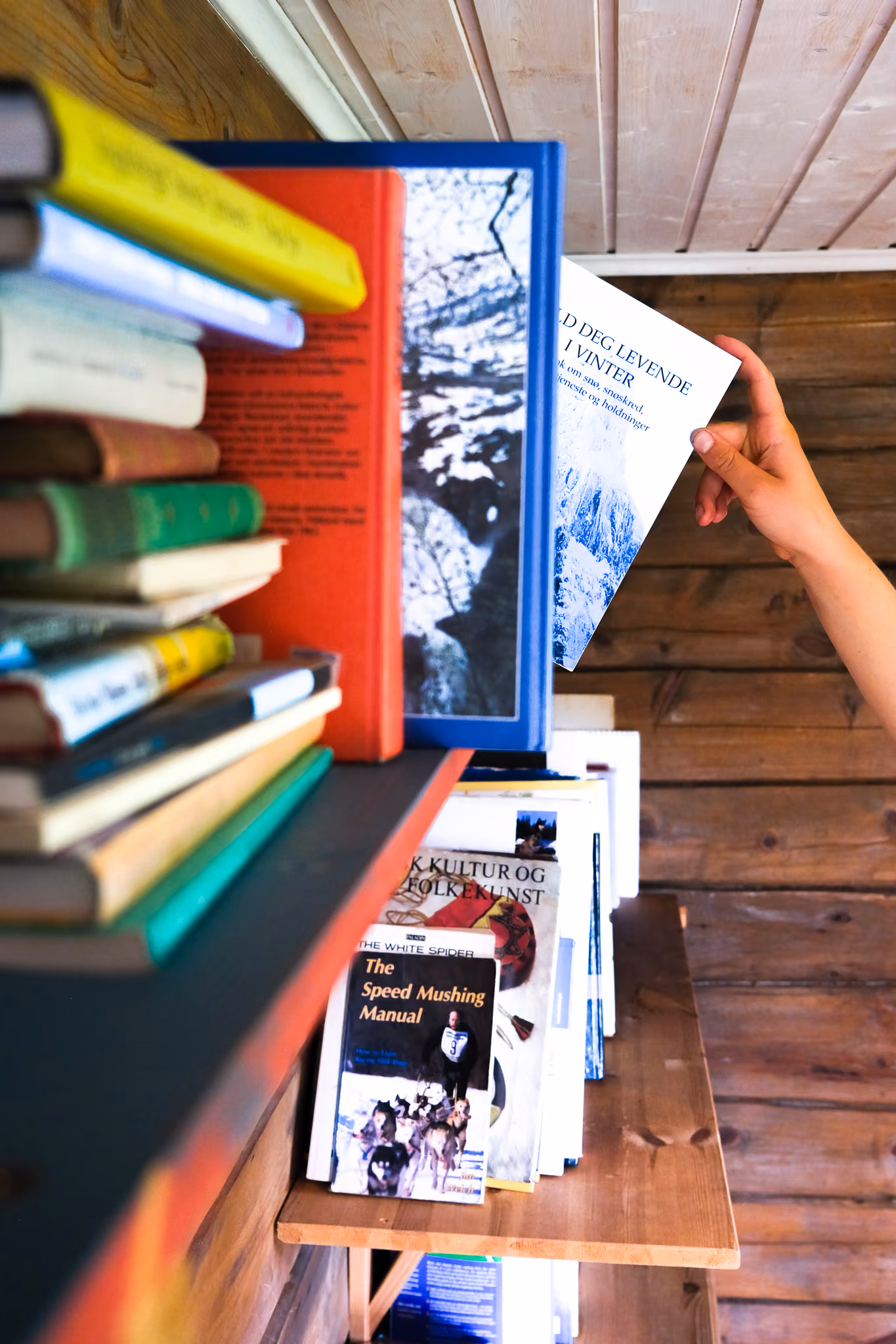 Bookshelf filled with colorful books and decorative items in a rustic room.