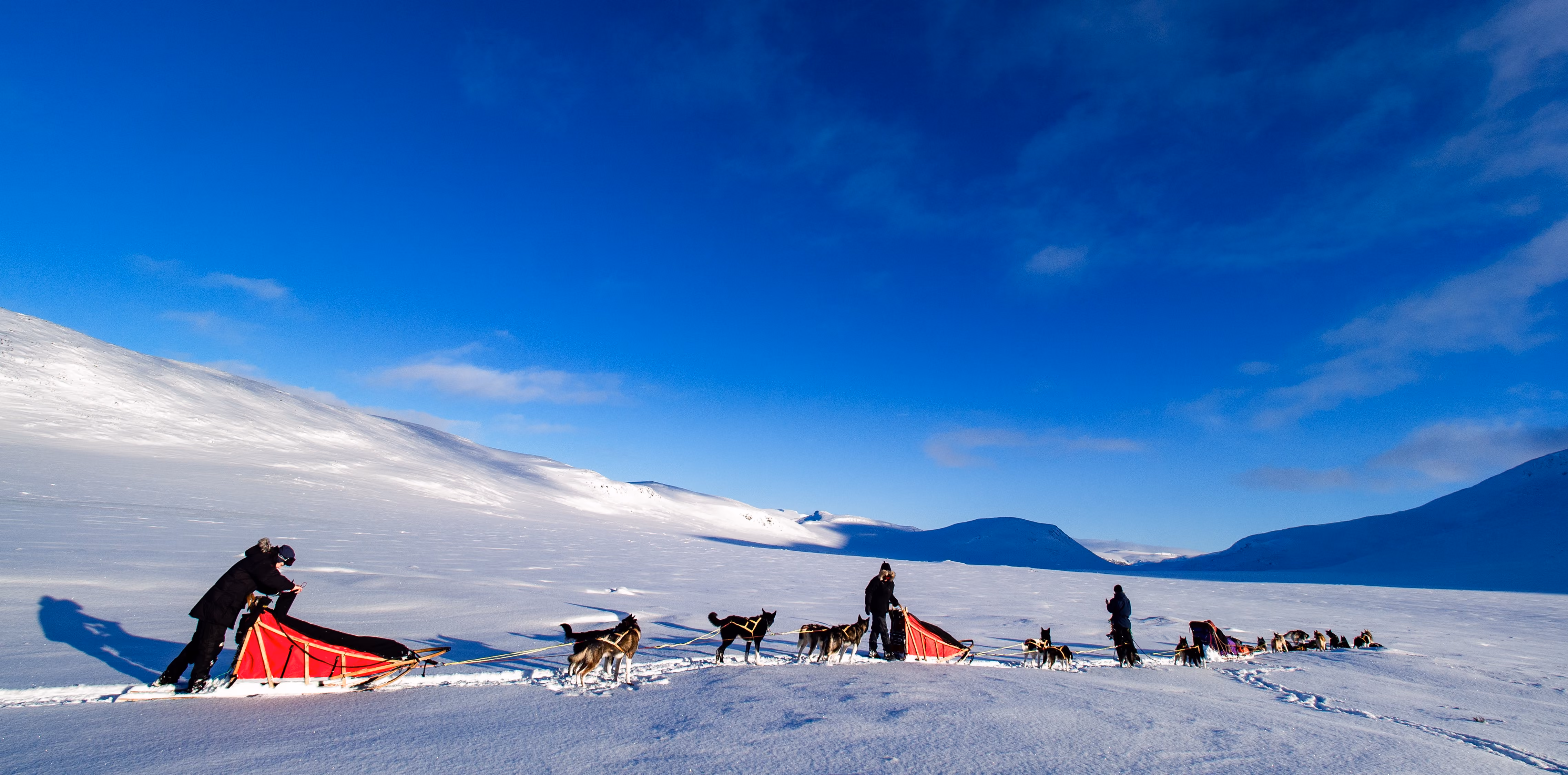 A dog sled team crossing a snow-covered plateau