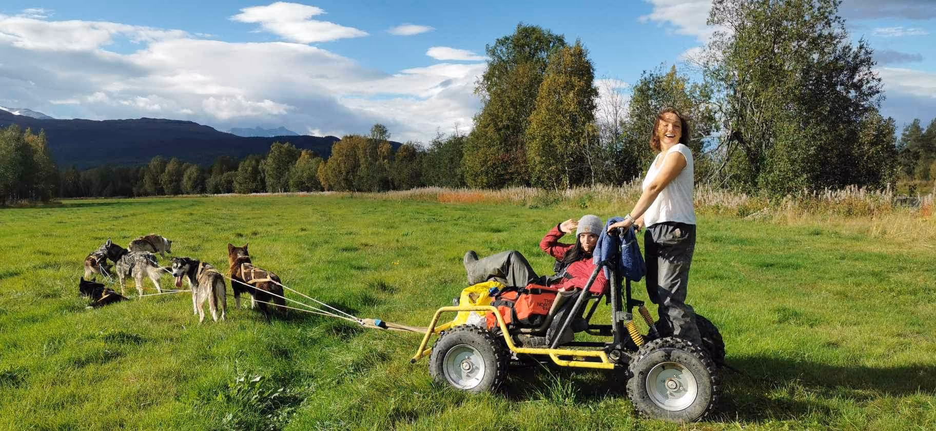 Wheeled dog cart standing in a green grassy field on a sunny day.