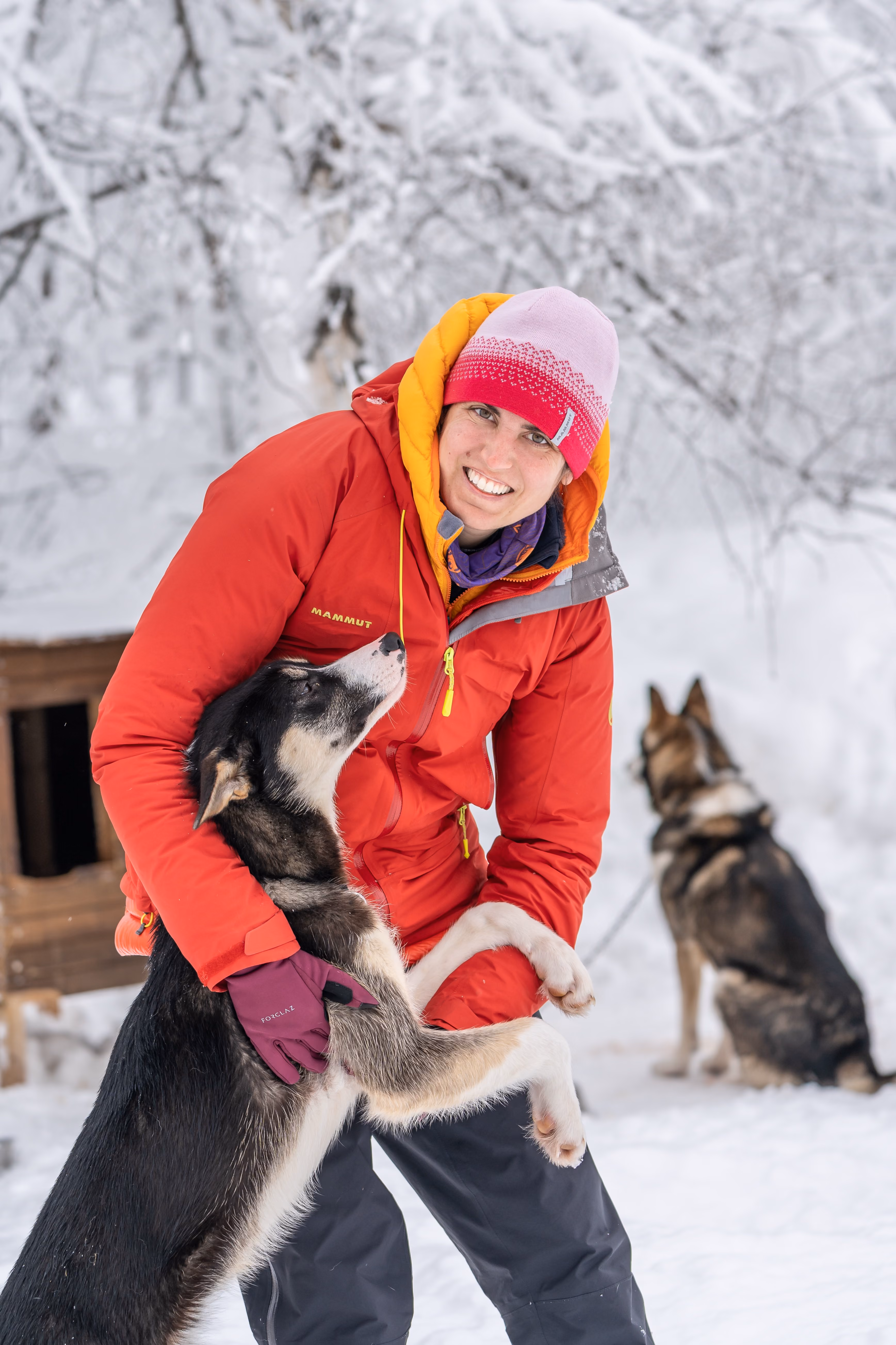 Person in a bright red jacket leaning over to pet a husky dog in a snowy forest.
