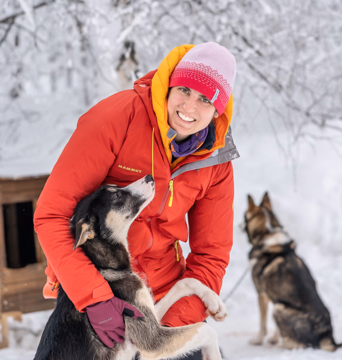 A person kneels in the snow to pet a husky dog.