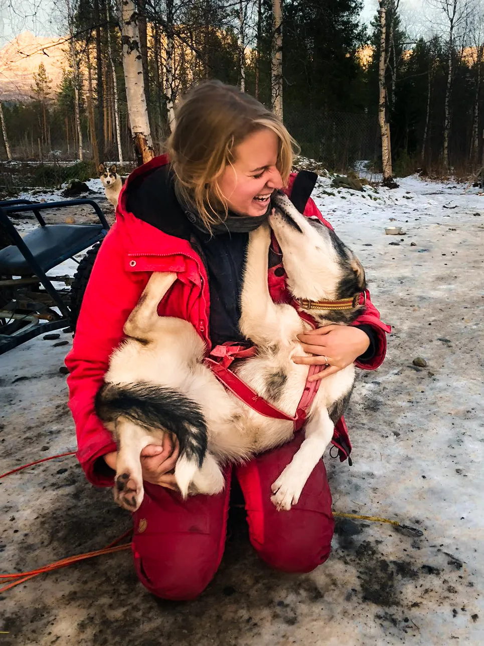 woman playing with a husky