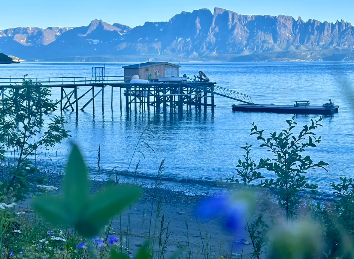 Wooden pier and stilt building extending into clear coastal waters near green hills.