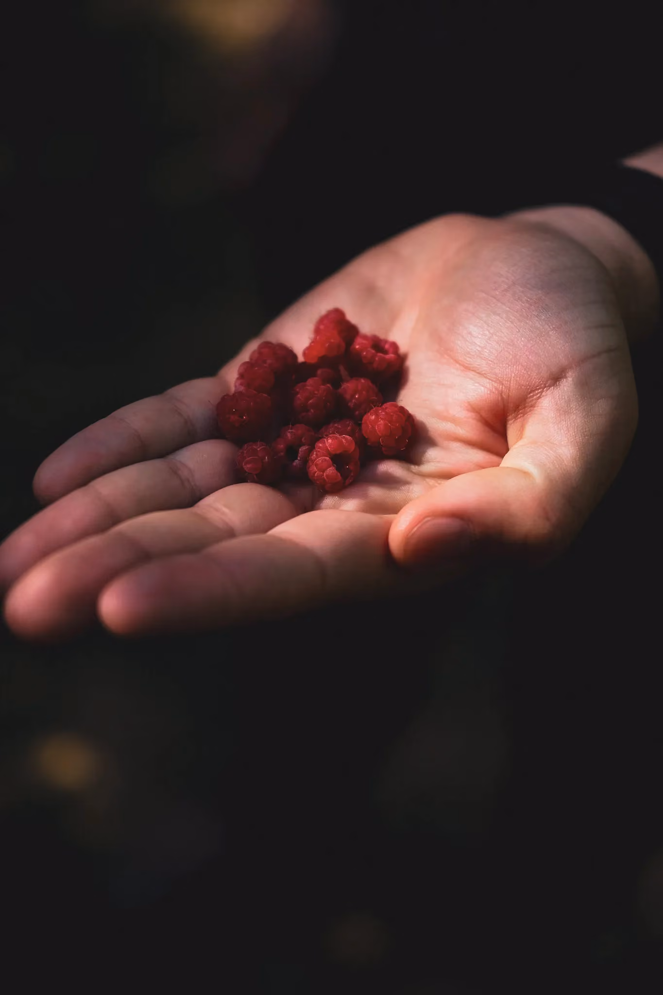 Close-up of a hand holding a small pile of fresh red raspberries against a dark background.