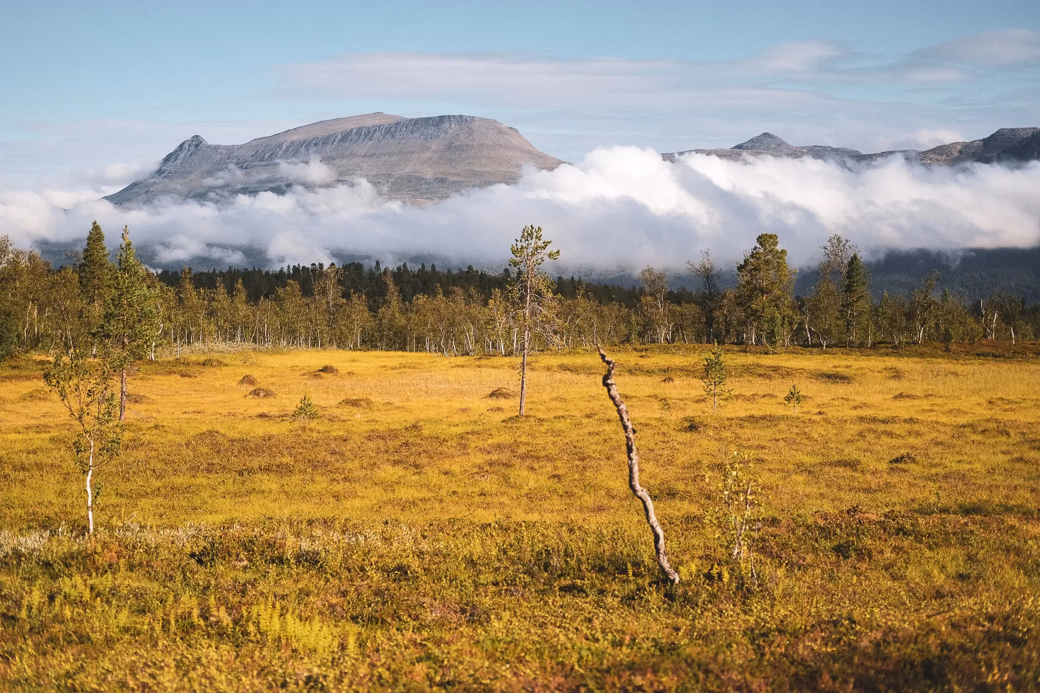 Open autumn landscape with golden fields and low-hanging clouds over distant hills.
