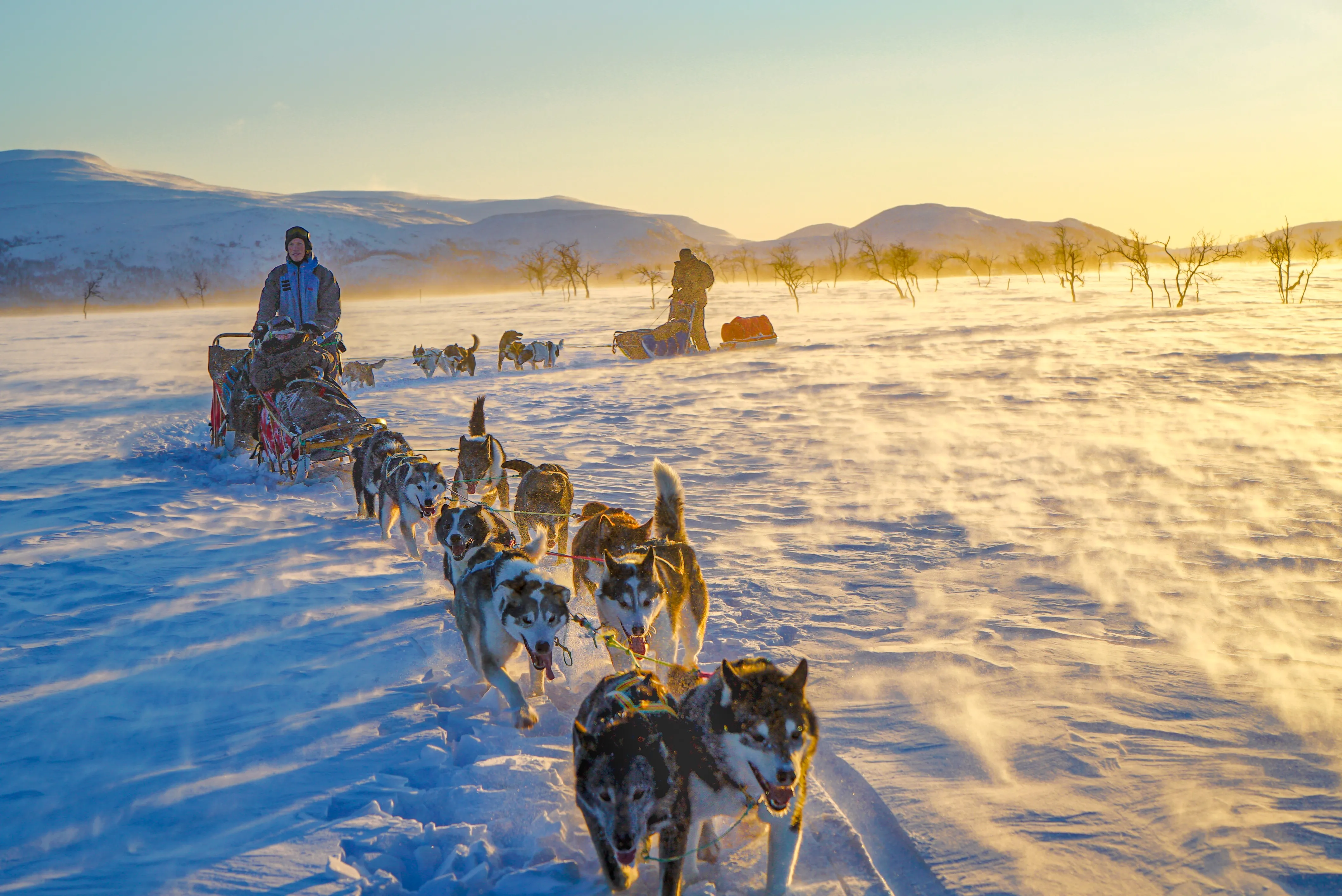 Two dog sled teams led by huskies moving through snowy landscape at sunset in northern Norway.