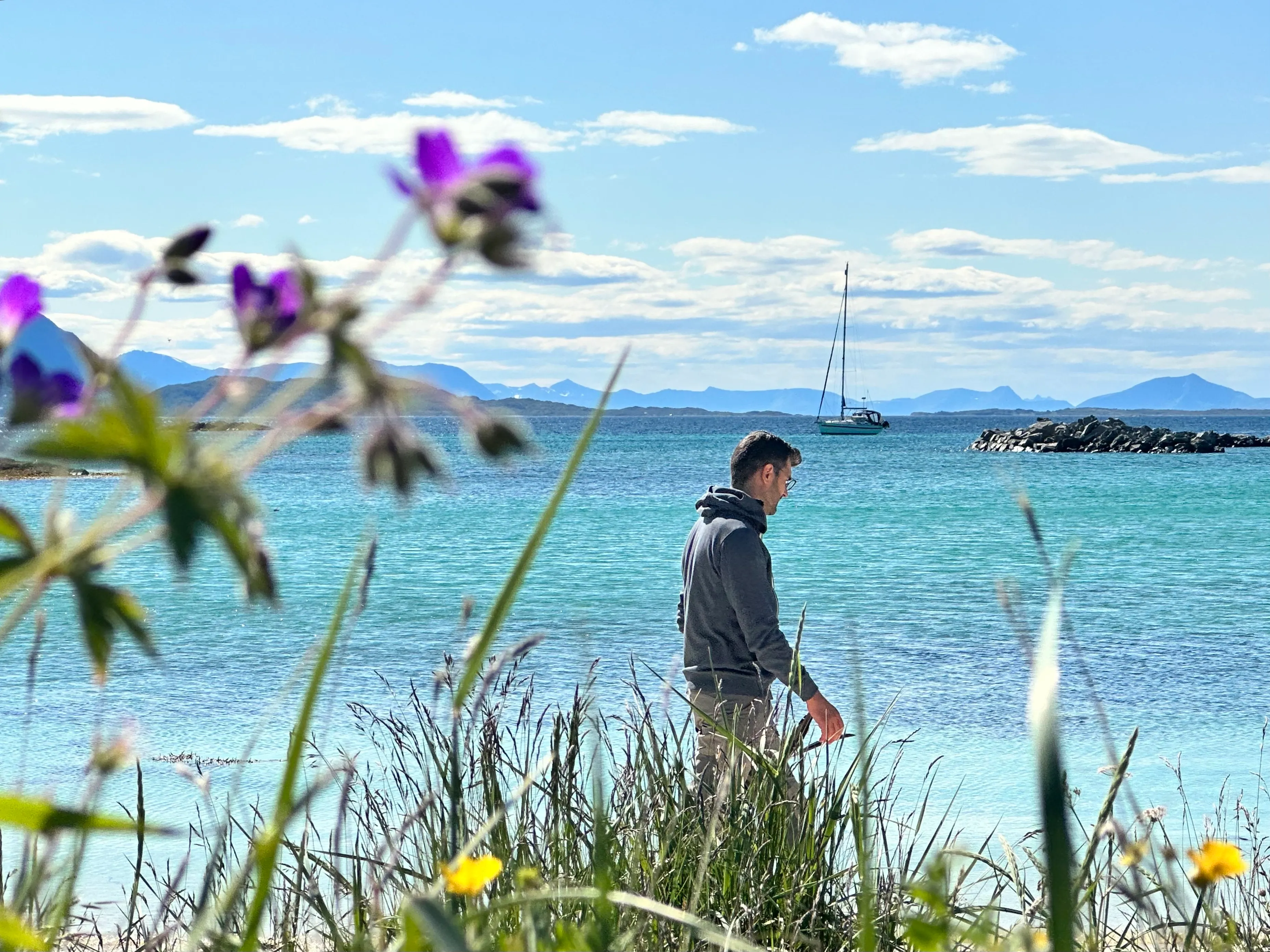 flowers an docean in Tromsø
