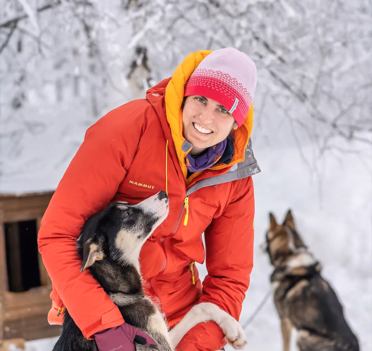 Husky Farm Stay | Winter
