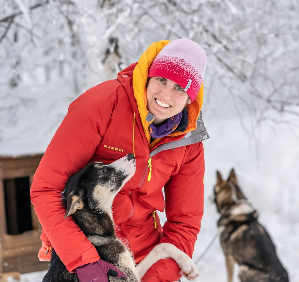 Husky Farm Stay | Winter
