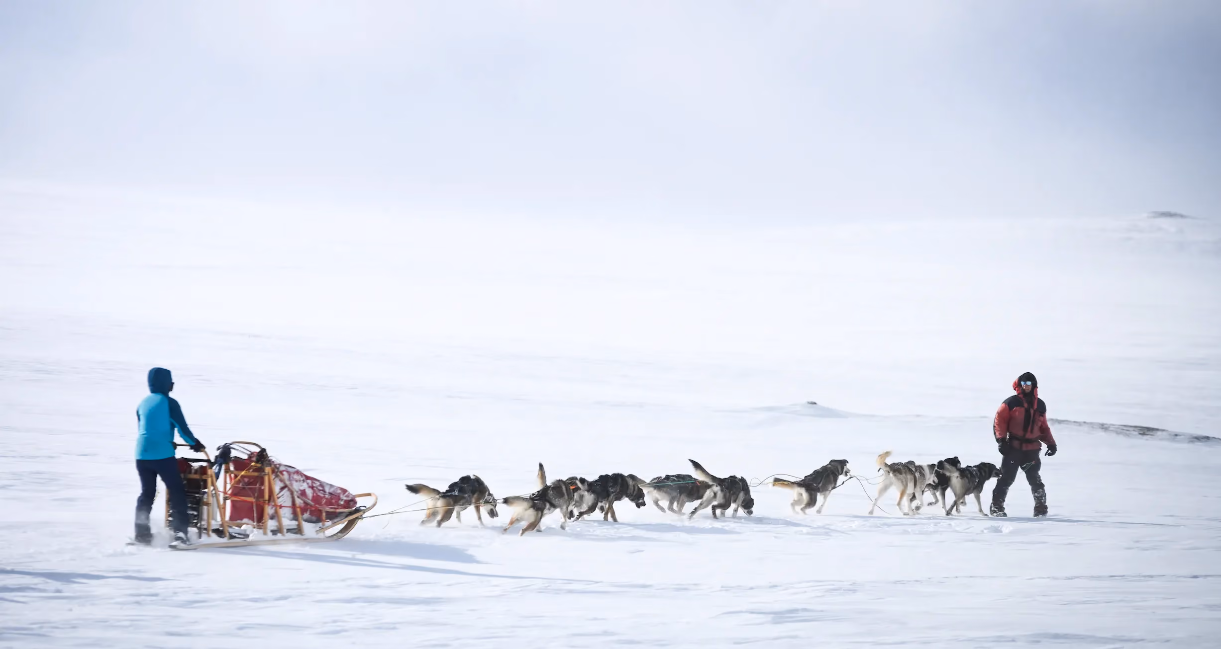 2 Week Arctic Dogsled Expedition