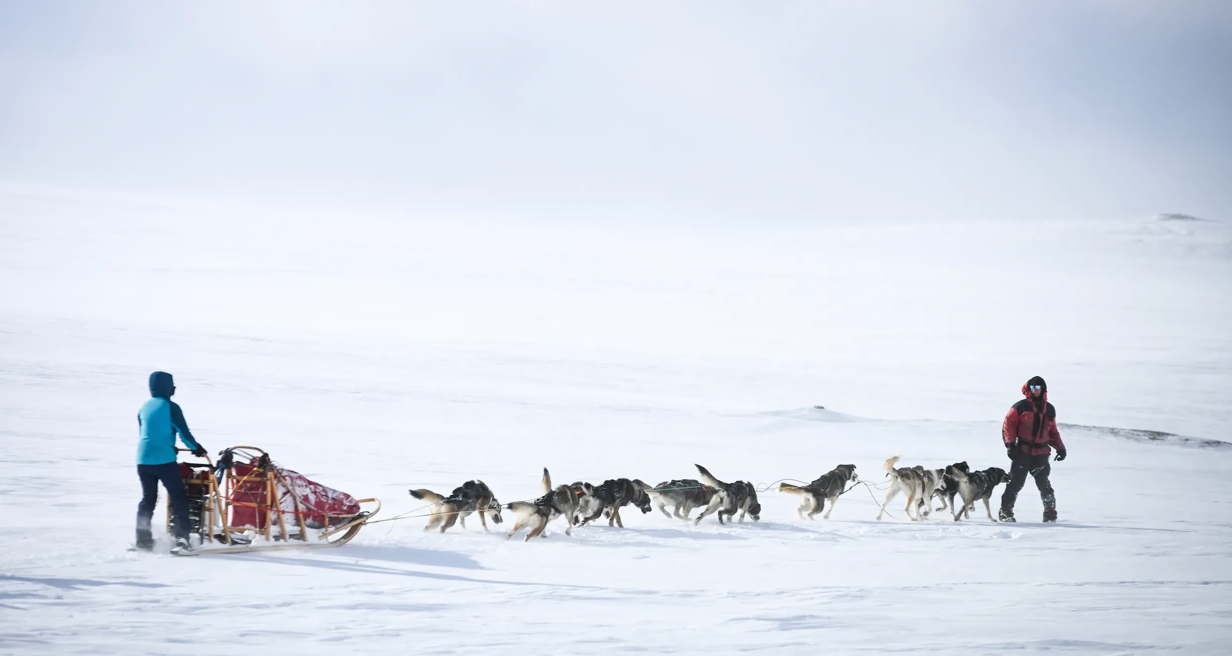 Arctic Dogsled Expedition | Dividalen | 2 Weeks