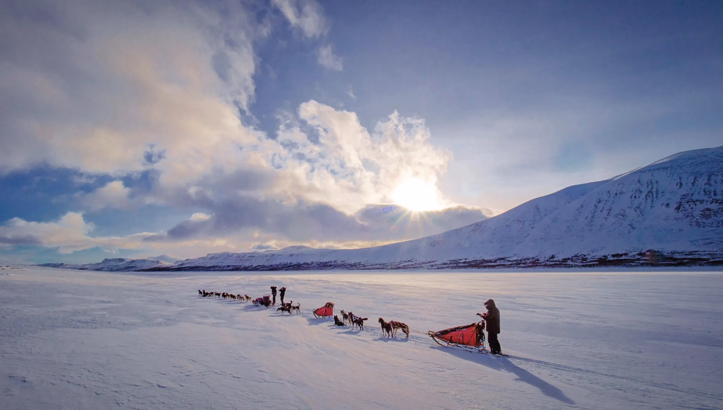 A dog sled team crossing a snow-covered plateau