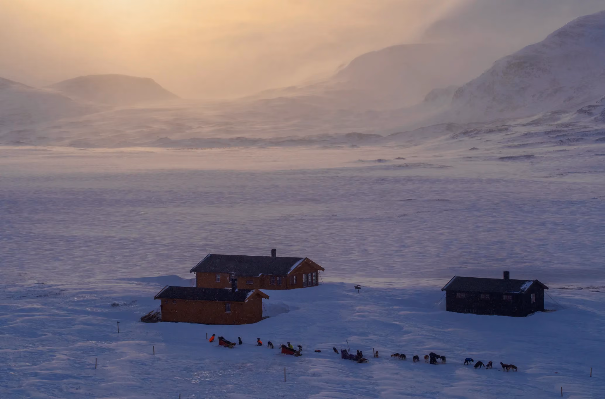 Three houses on a snow-covered plateau with sled dogs outside