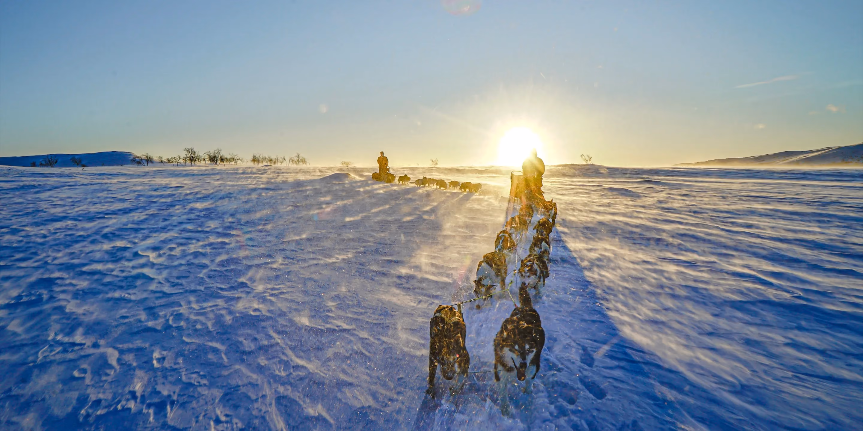 Dog sled teams led by mushers travel across a snow-covered landscape at sunset.