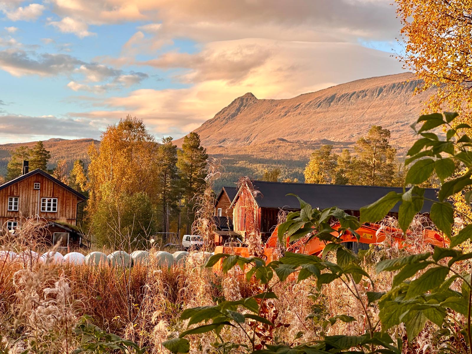 Autumn mountain landscape with colorful foliage under a golden sunset sky.