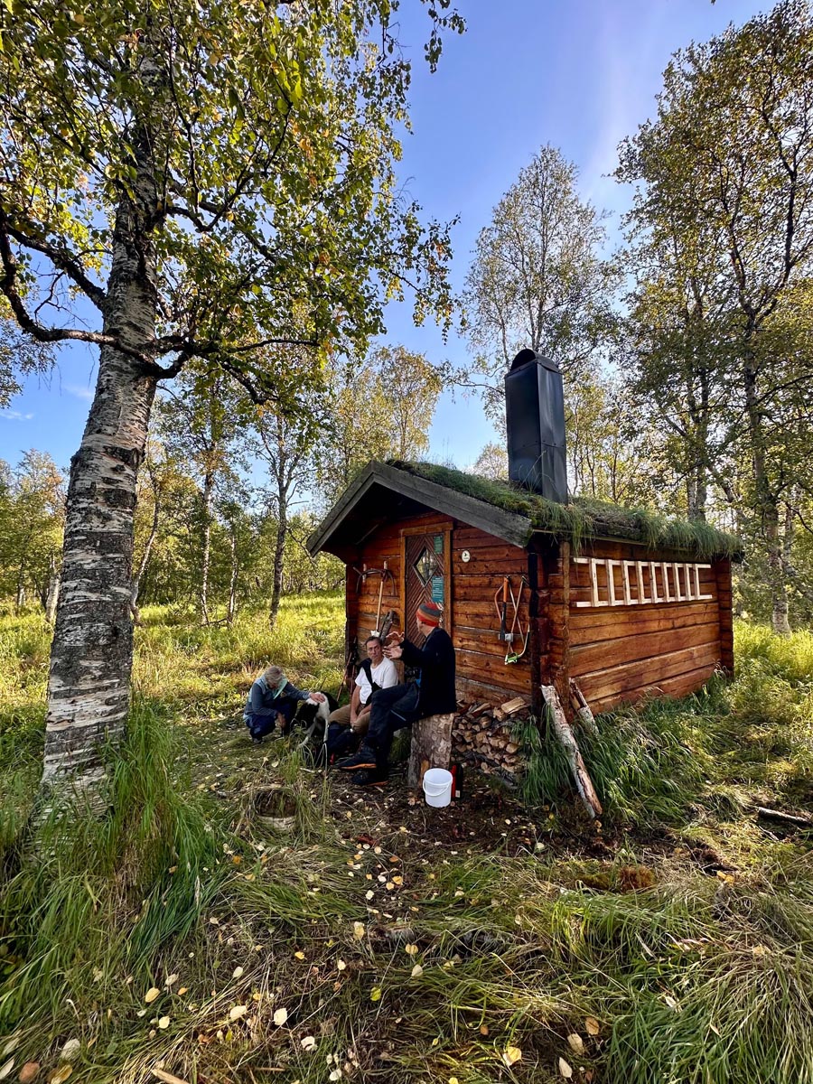 Small wooden hut nestled among birch trees with autumn leaves.