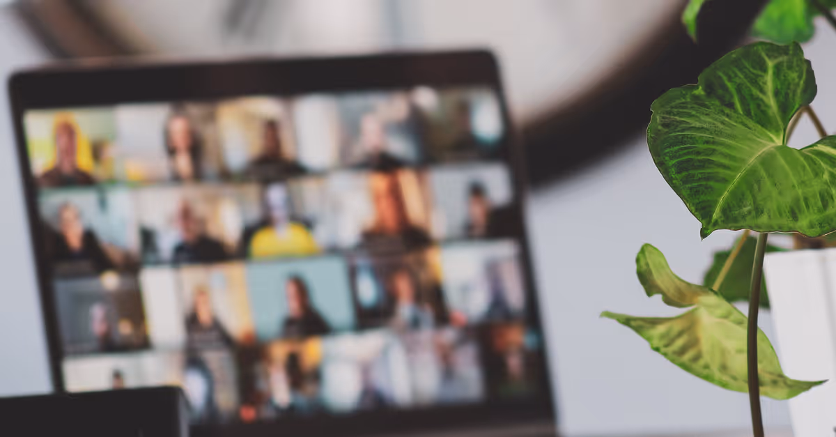 Close-up of a green potted plant with a blurred laptop screen showing a video conference with multiple participants in the background.