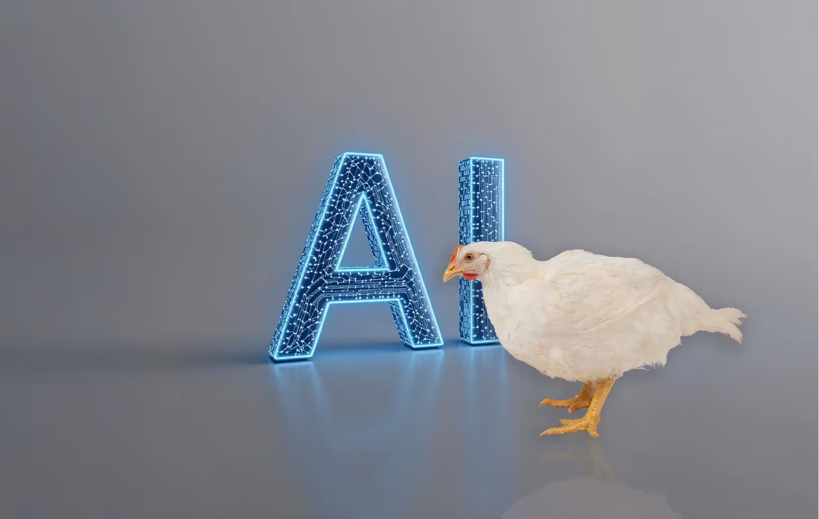 White chicken standing next to glowing 3D letters 'AI' with a digital circuit design on a gray background.