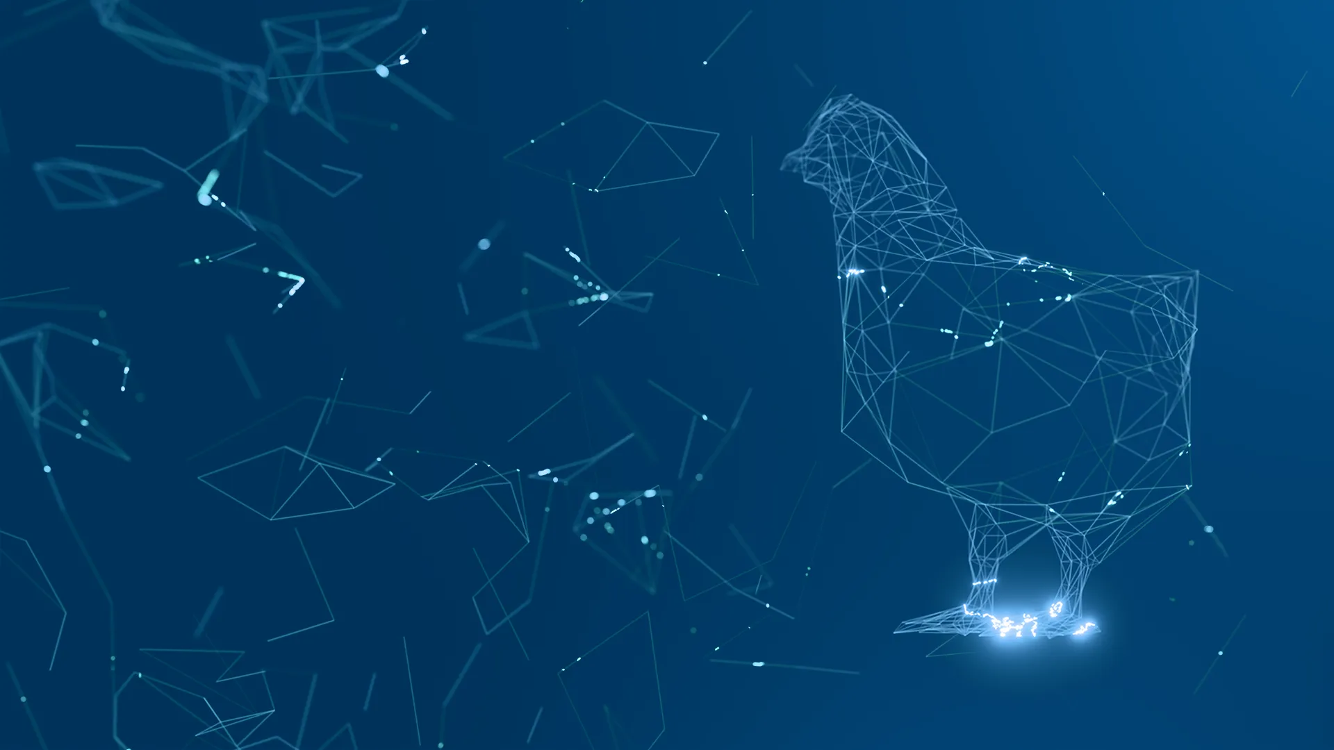 Digital wireframe illustration of a chicken formed by blue glowing lines and dots on a dark blue background.