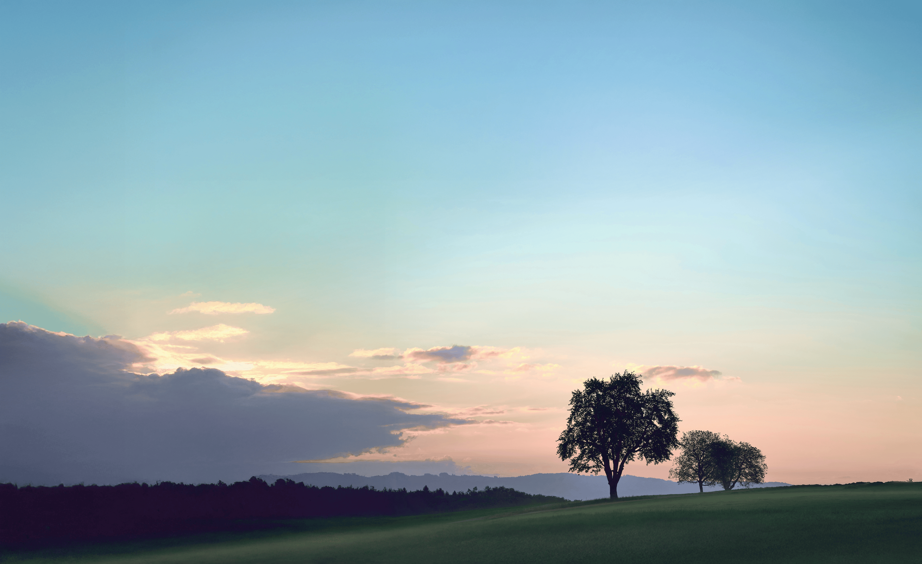 A view of a grass field with a tree during the sunset