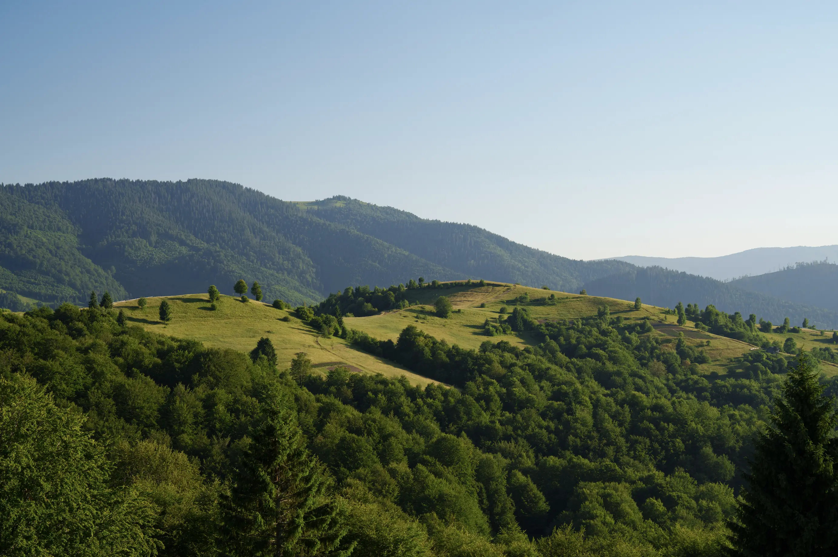 A view of a valley during a bright day
