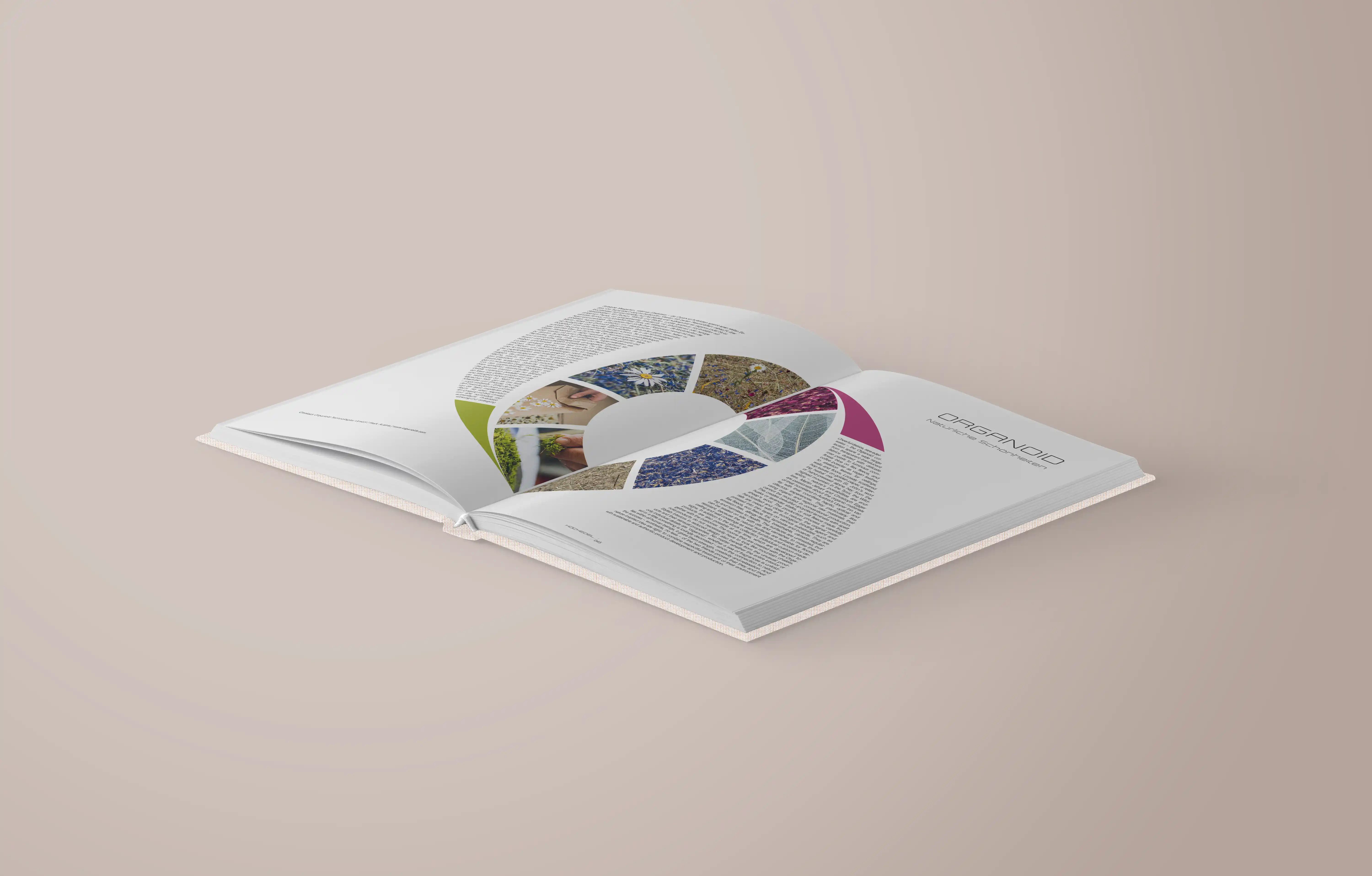 Design + Wohnen