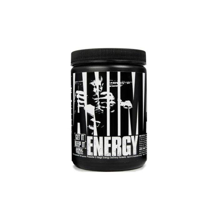 Animal Energy