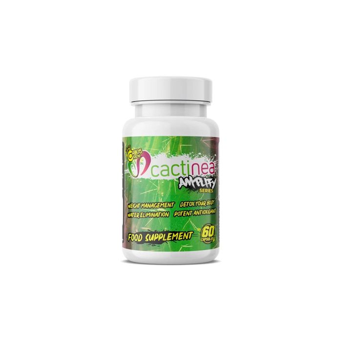 Chaos crew Cactinea