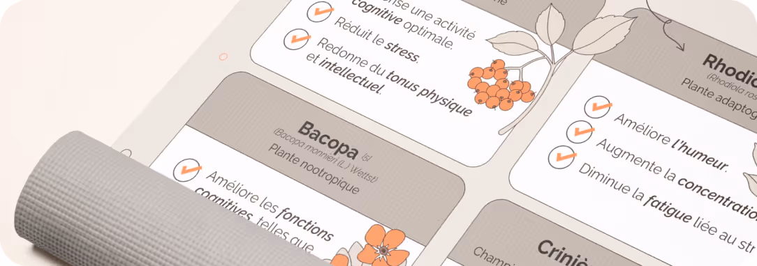 Mise en situation d'une infographie illustrée pour Nutri&Co