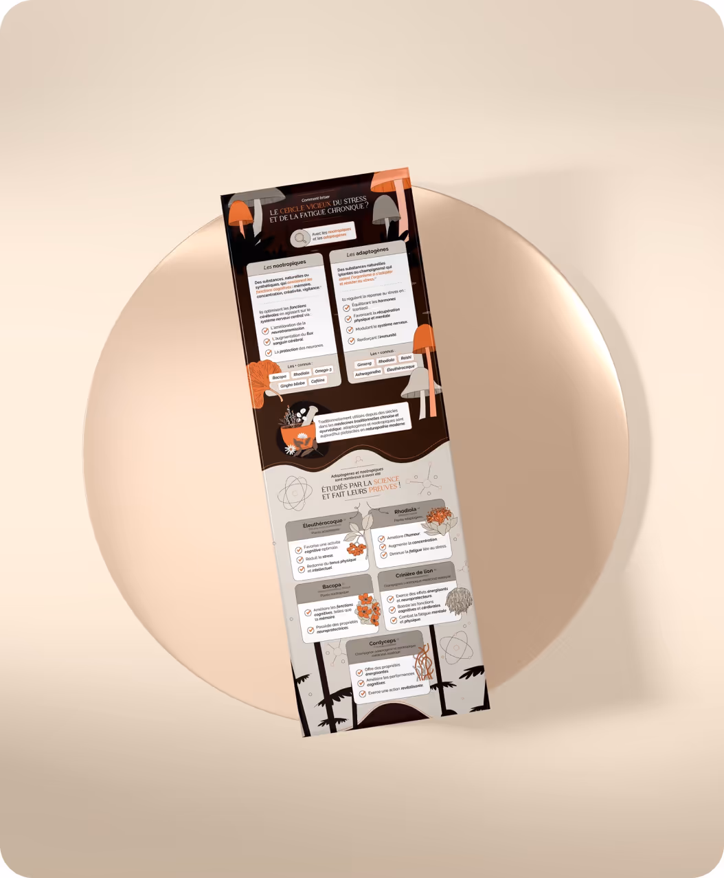 Mise en situation d'une infographie illustrée pour Nutri&Co