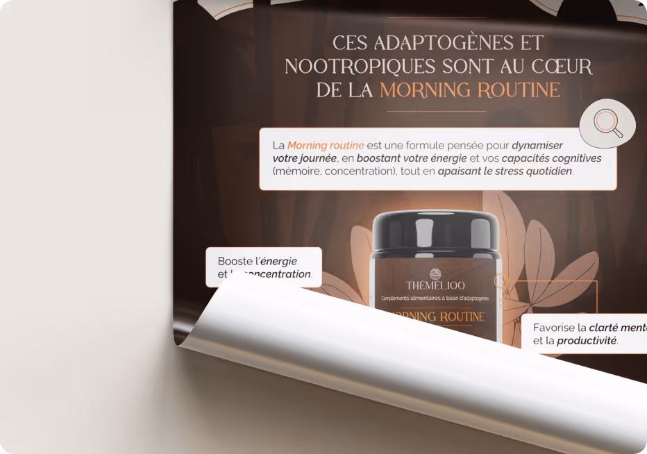 Mise en situation d'une infographie illustrée pour Nutri&Co