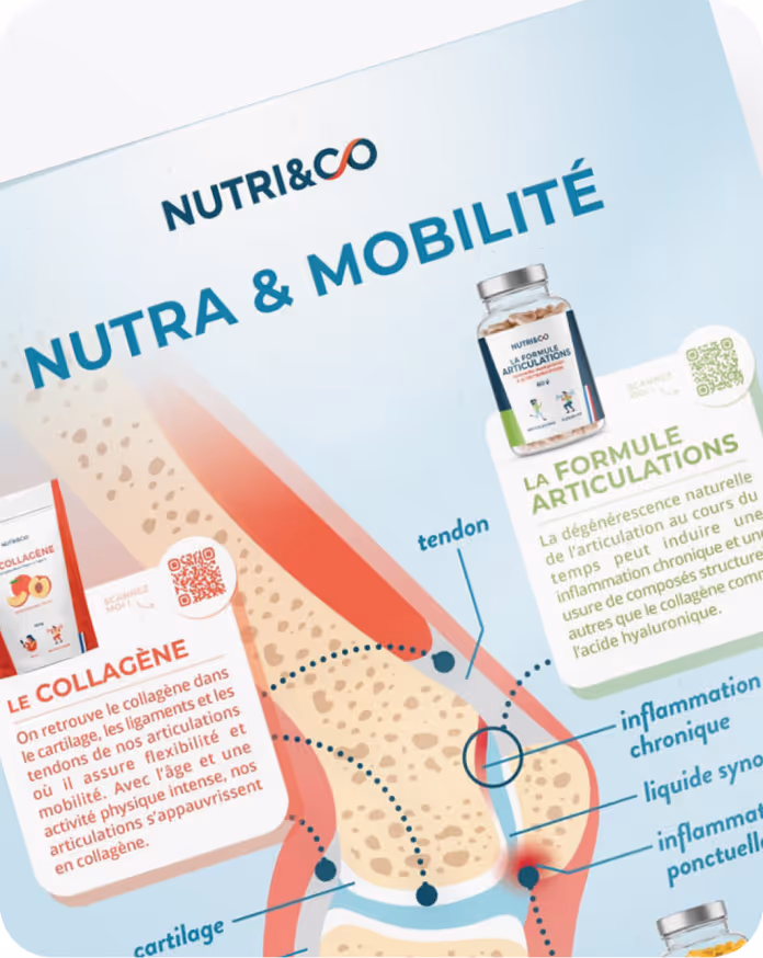 Poster type infographie pour Nutri&Co