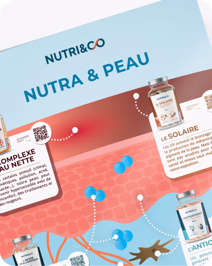 Poster type infographie pour Nutri&Co