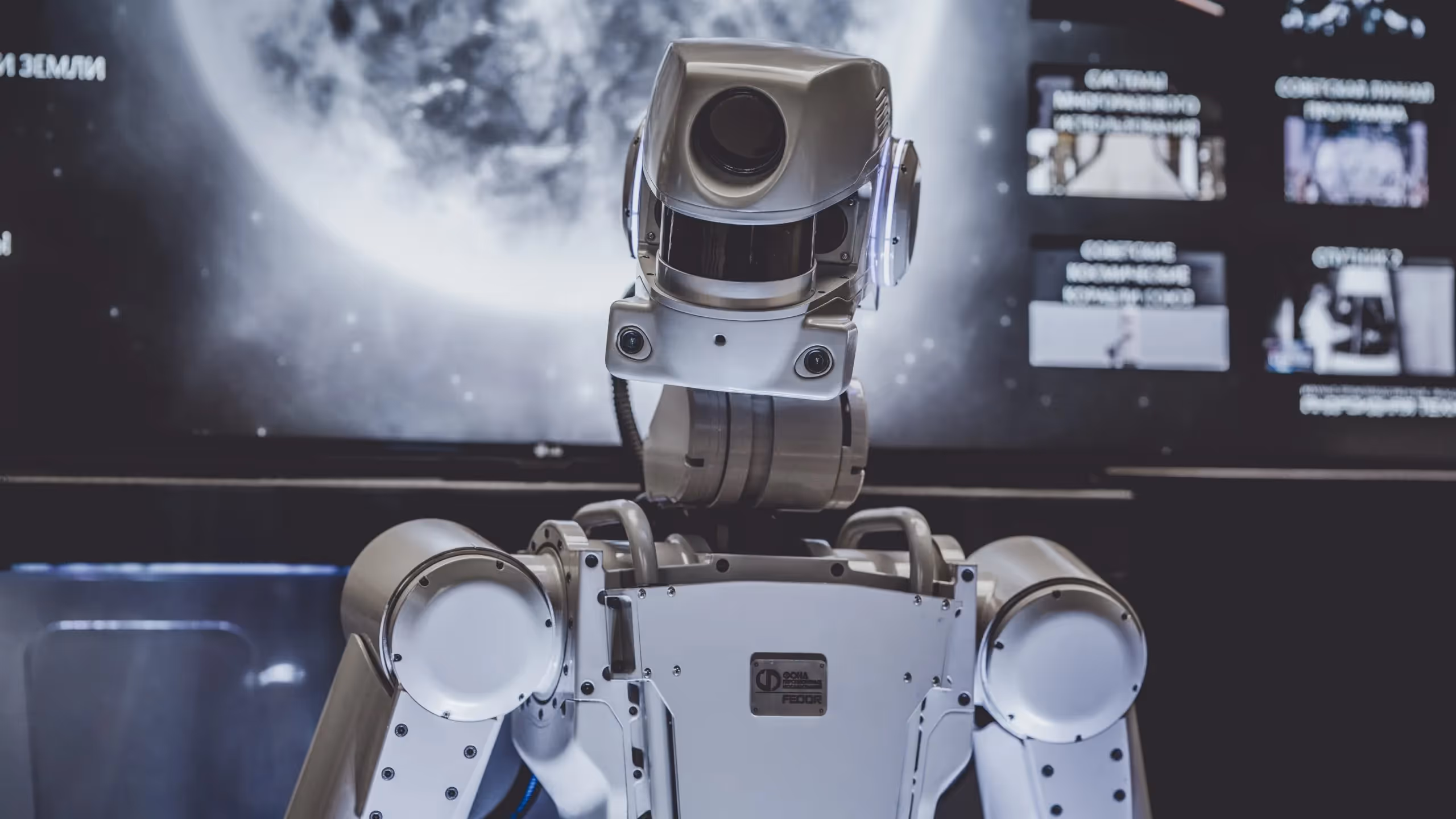 How to avoid losing your job to robots
