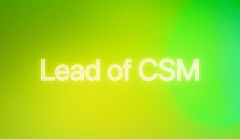 Lead of CSM Job at Campaignswell | AI Marketing Analytics Careers