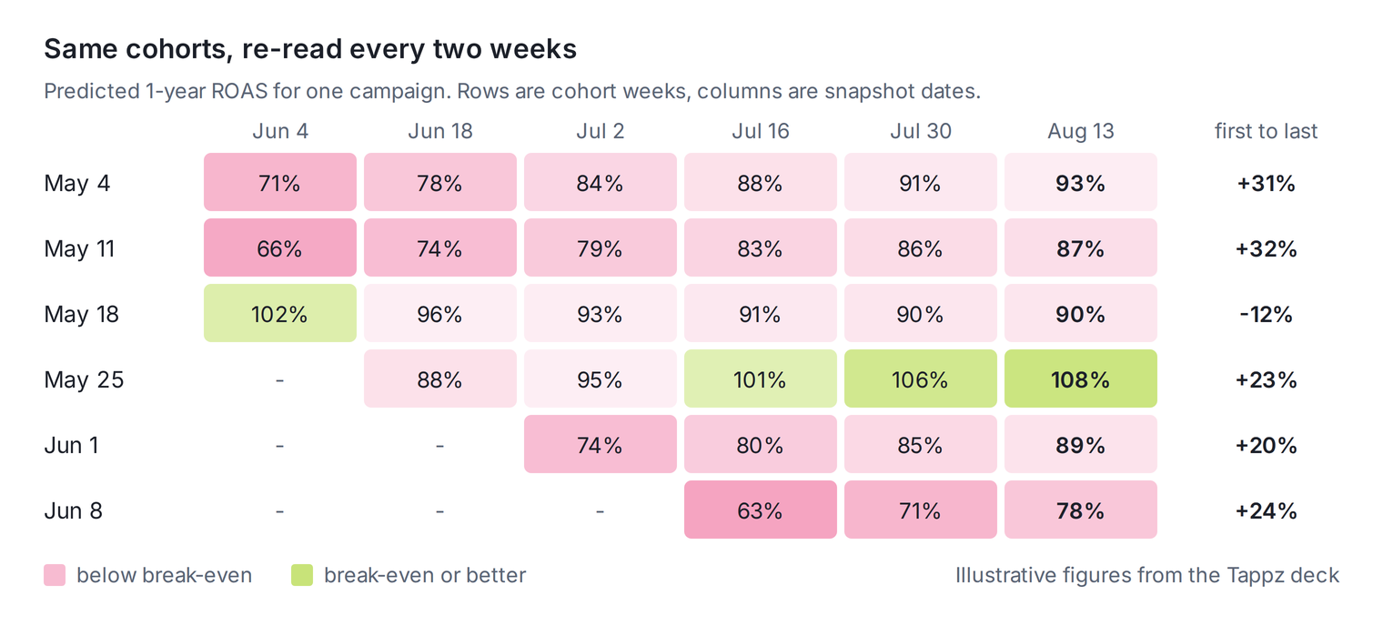 Heatmap of predicted 1-year ROAS per cohort across biweekly snapshots