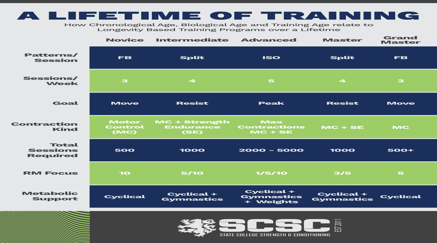 A Lifetime of Training: How Smart Programs Evolve Over Time