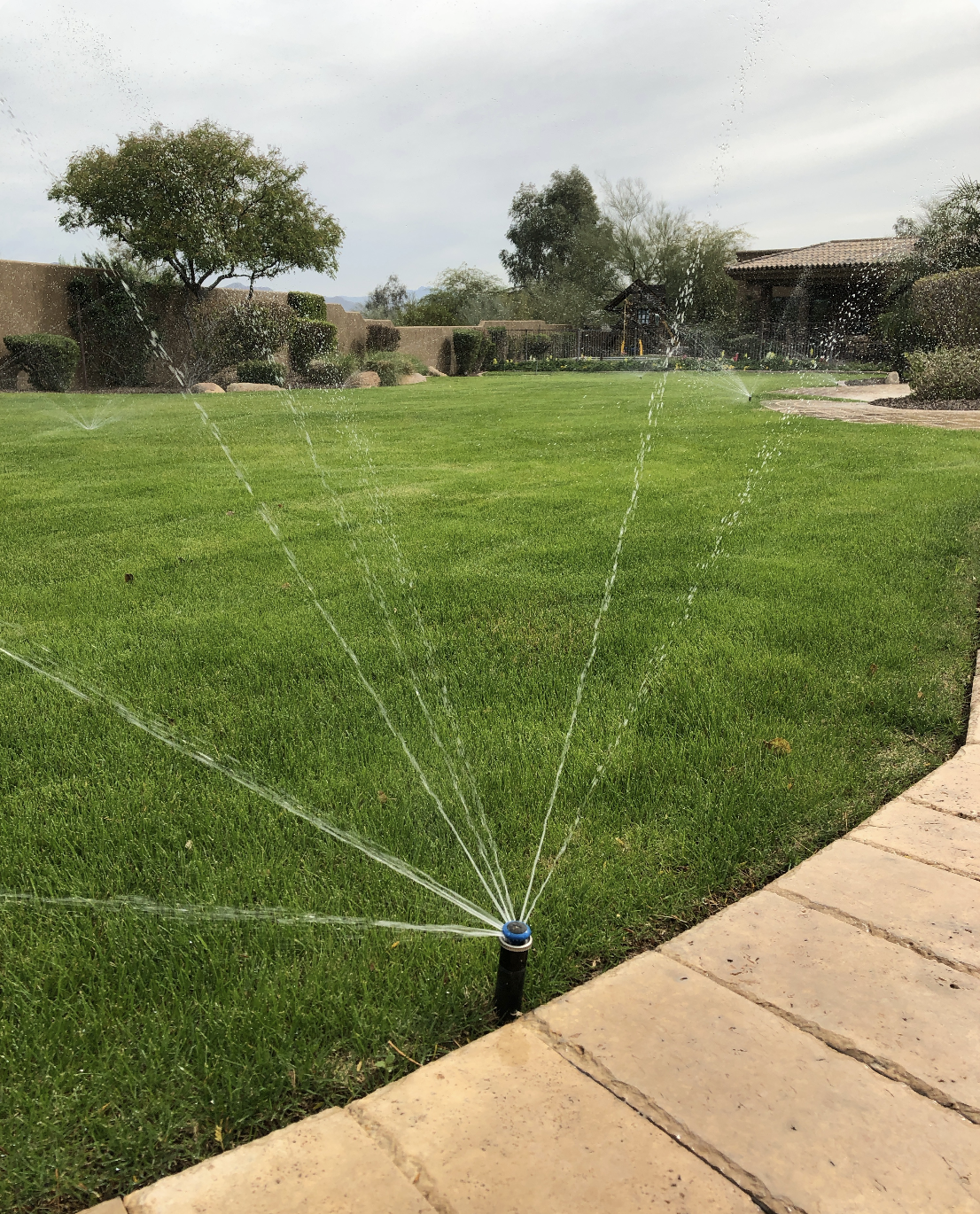 Sprinkler Irrigation Installs, Repair and Troubleshooting Scottsdale