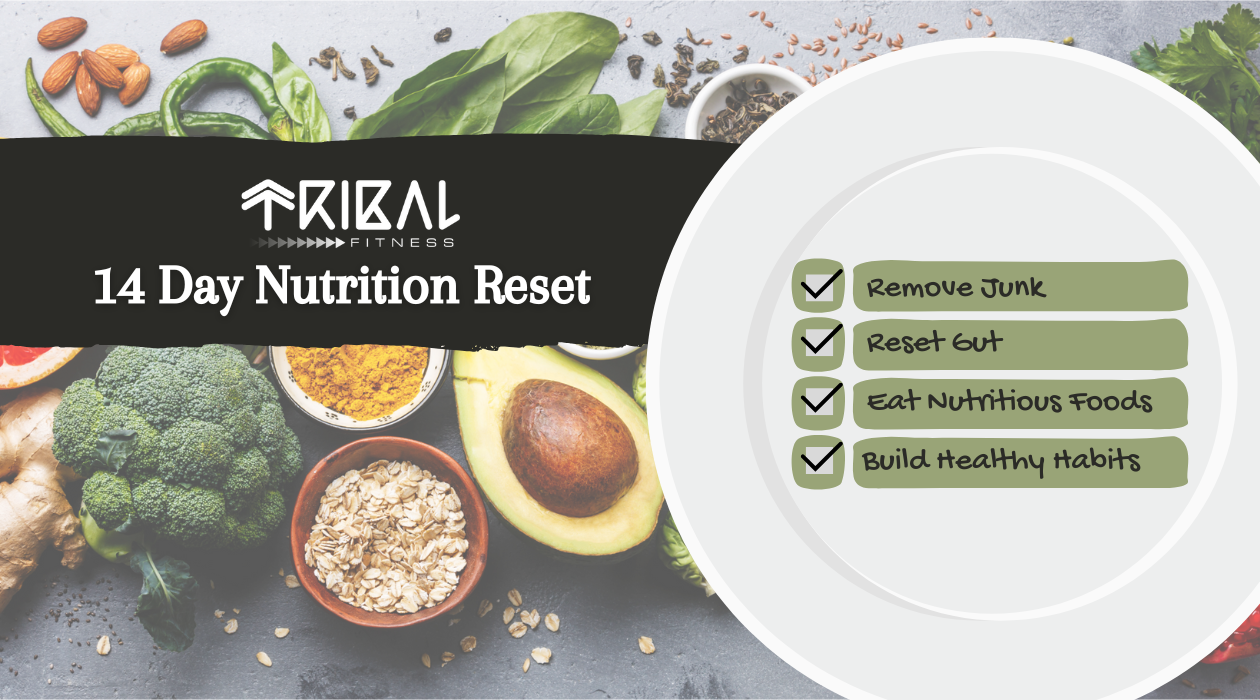 Blog Thumbnail Image