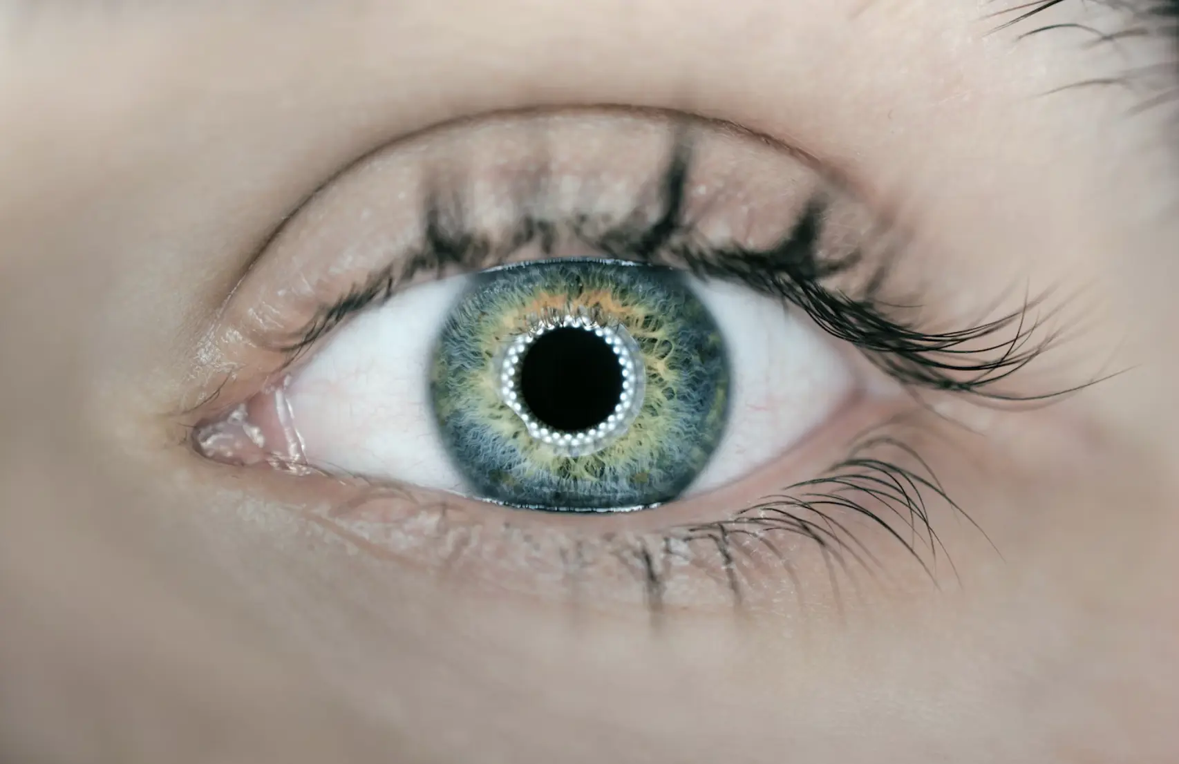 Close up of a green and blue eye
