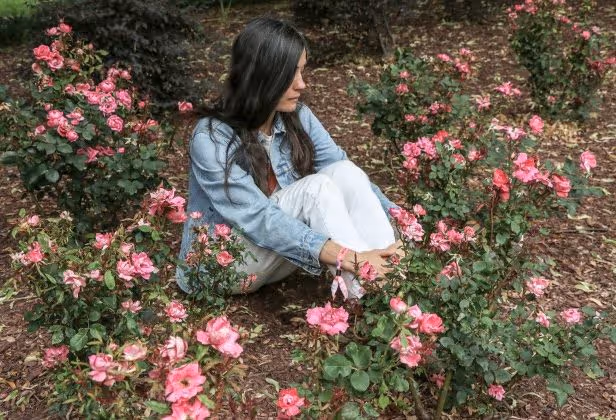 Grouper releases surprise 7″ Paradise Valley