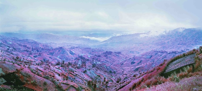 Because the Night_Richard Mosse